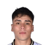 D. Pizarro